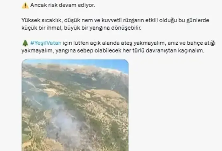 Bursa ve İzmir'de çıkan orman yangınları kontrol altına alındı