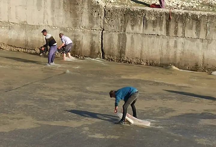 Haberi duyan baraja koştu: Toplamaya yetişemediler