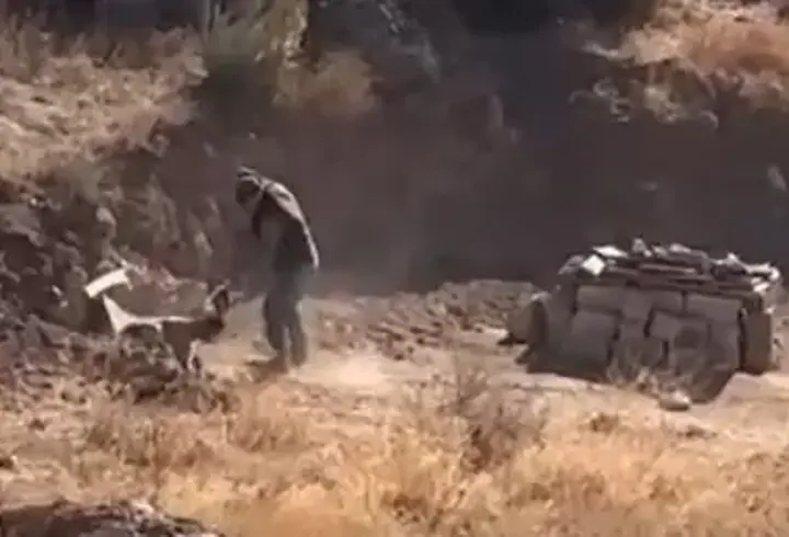Sivas'ta köpeğine şiddet uygulayan kişi gözaltına alındı