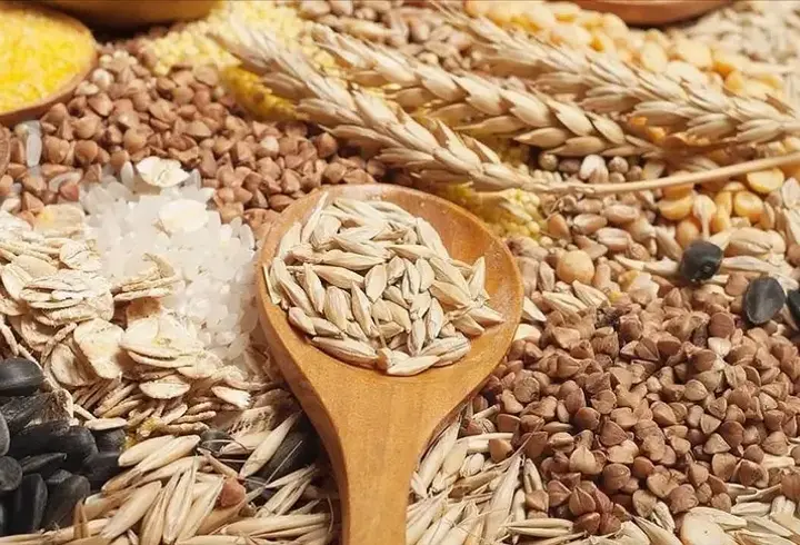 Trakya’dan 2025’te 2,25 milyar dolarlık ihracat: Tekirdağ zirvede