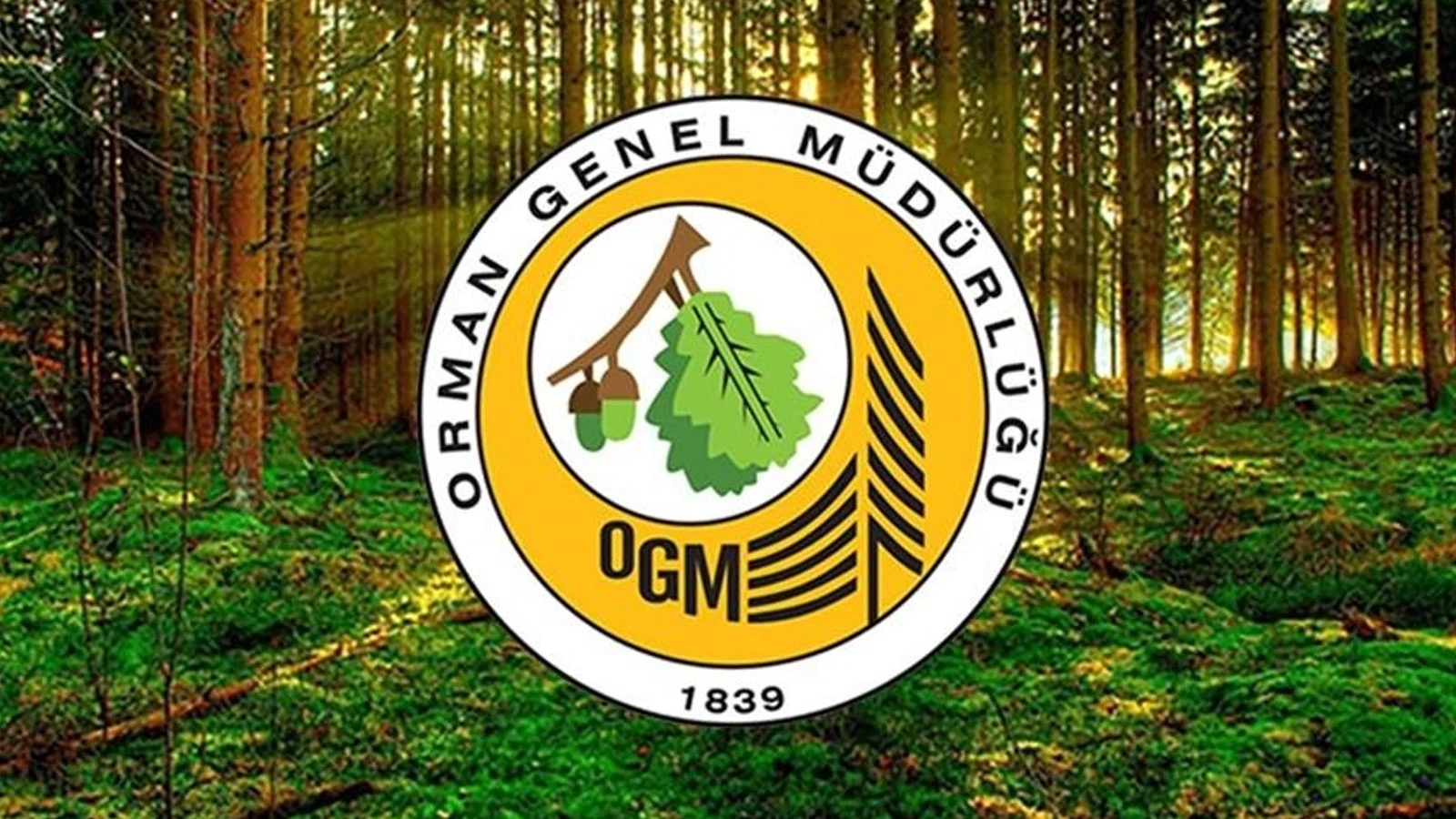 OGM'den, 'yangın yönetim uçağı OTAĞ'ın kullanılmadığı' iddialarına açıklama
