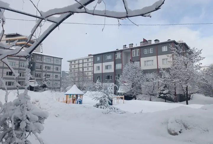 Bitlis’te kar yağışı