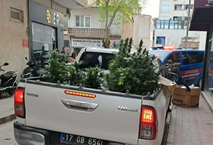 Apartman dairesinde uyuşturucu yetiştiren şüpheli yakalandı