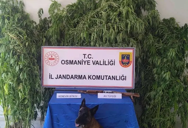 Osmaniye'de 128 şüpheli yakalandı