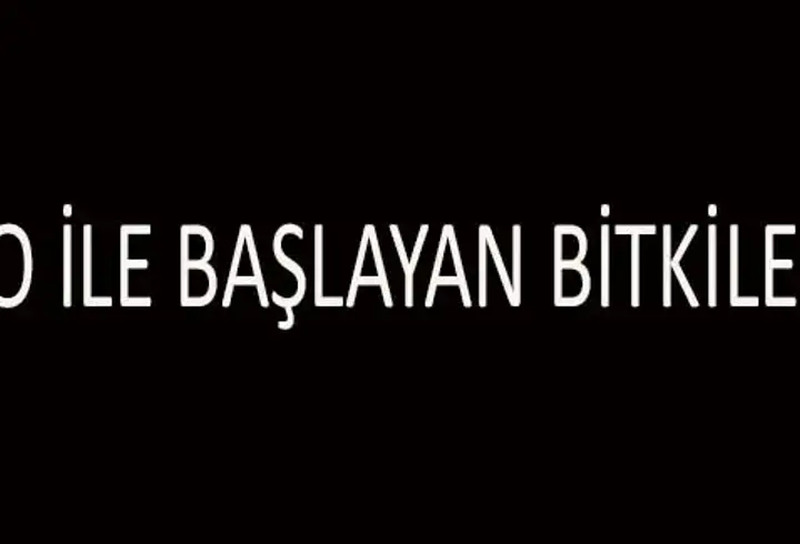 O İle Başlayan Şehir İsimleri... O Harfi İle Başlayan Şehirler Ve Ülkeler