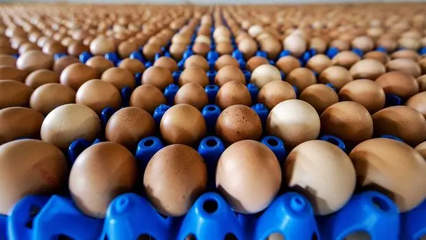 Yumurta üreticilerinden fiyat artışına yönelik açıklama 