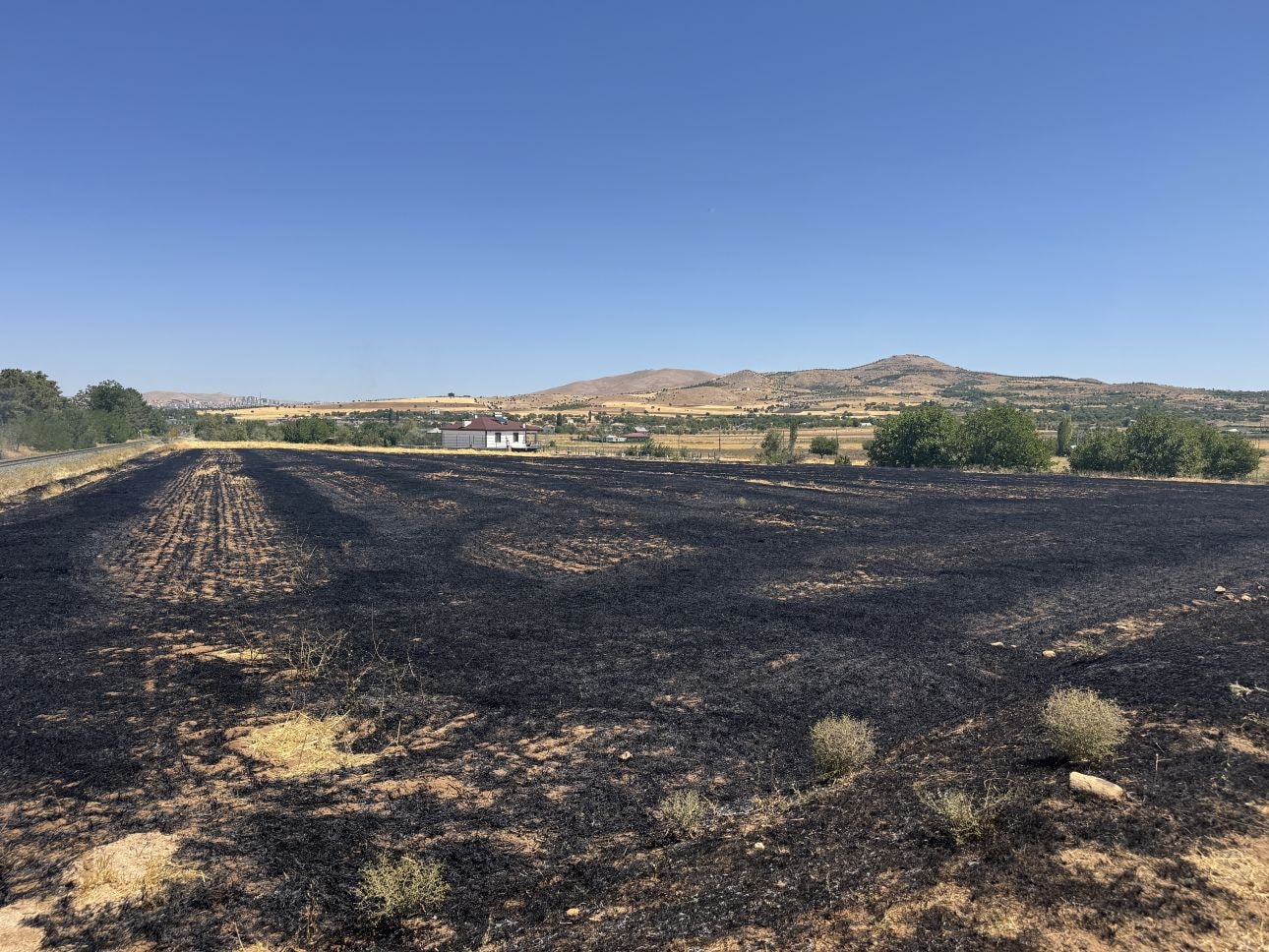 Elazığ'da anızda çıkan yangın ağaçlık alana sıçradı