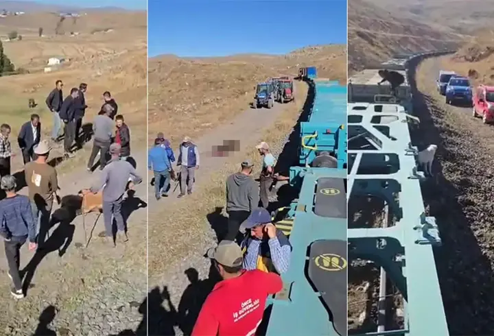 Yük treni büyükbaş sürüsüne çarptı; 5 inek telef oldu