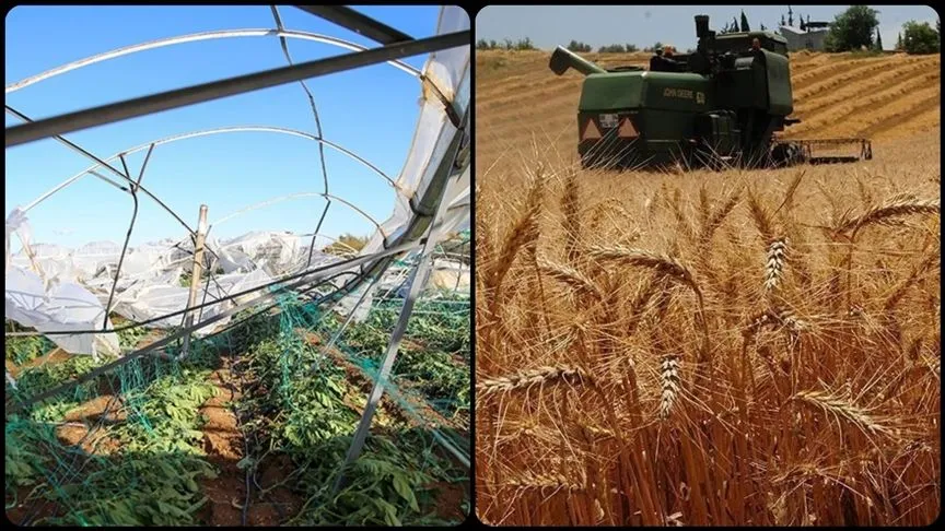 TARSİM üreticilere bu yıl 27 milyar lira hasar ödemesi yaptı