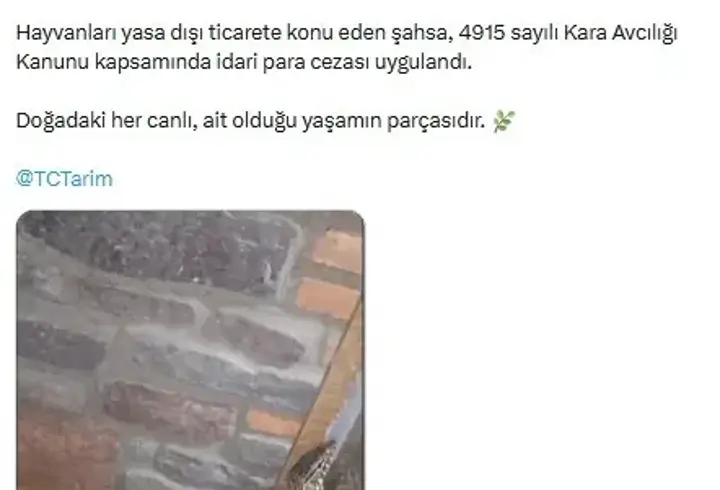 Manisa'da 61 yaban hayvanına el konuldu