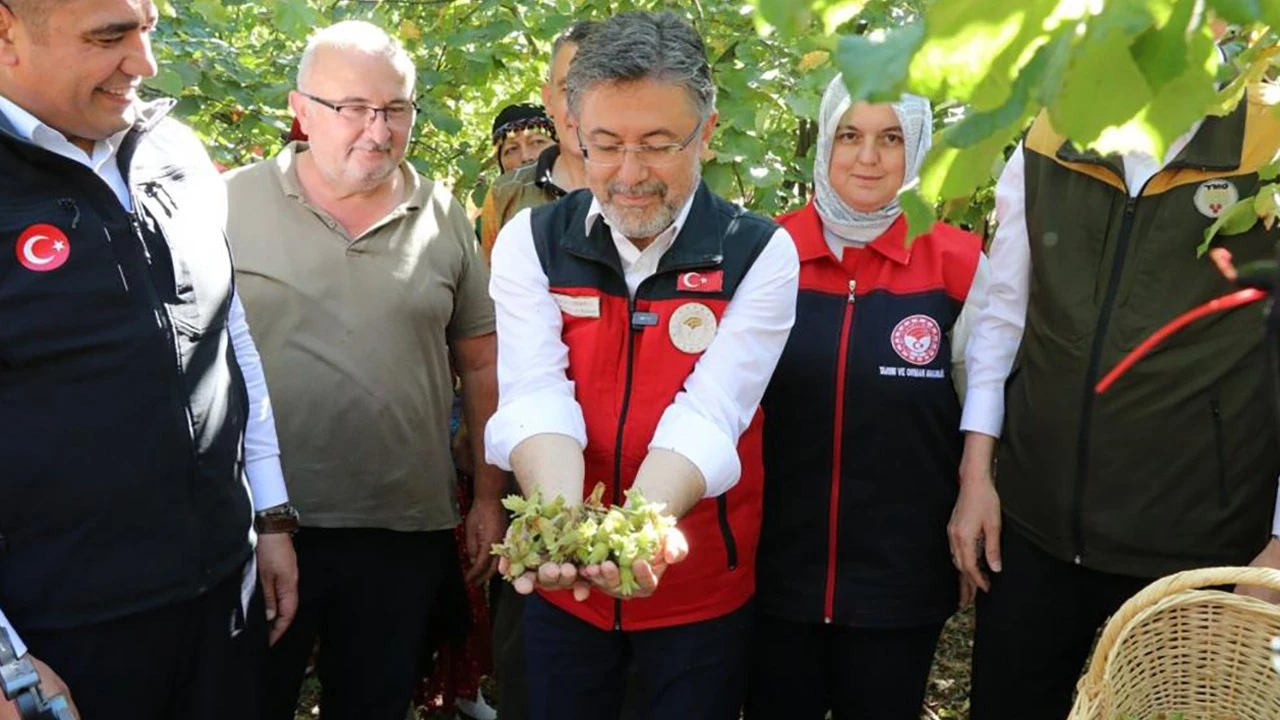 Bakan Yumaklı: Fındık stratejik bir ürün, dünyada birinciyiz