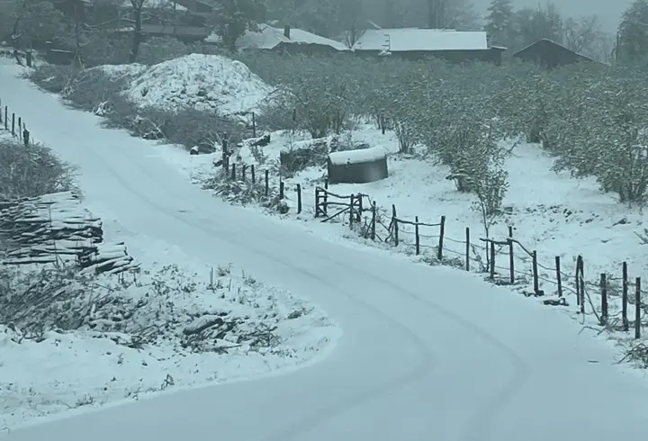 Sakarya’nın yükseklerine kar yağdı, valilik don uyarısı yaptı