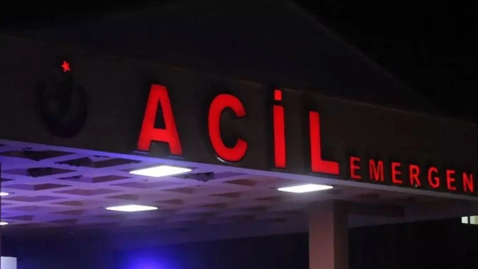 Şanlıurfa'dan otlatma kavgasında kan aktı!
