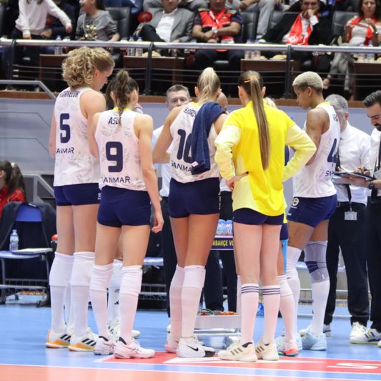 Fenerbahçe Medicana, Aras Spor'u devirdi!