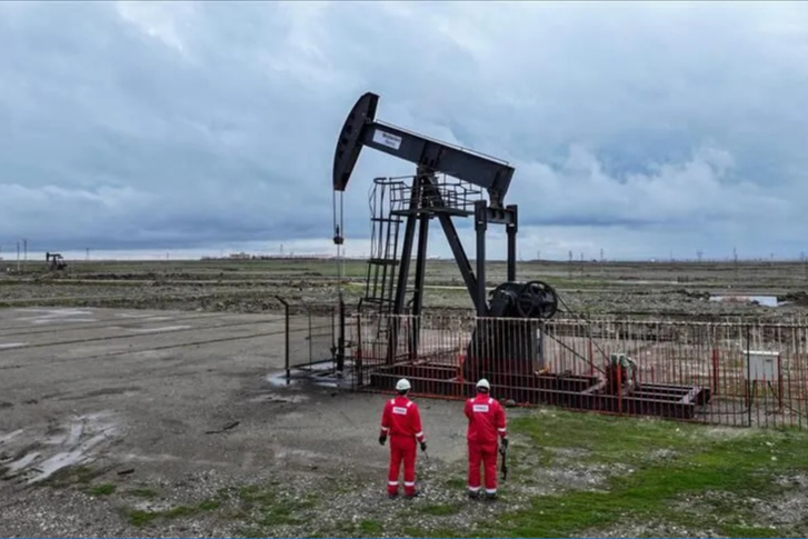 Tpao'nun Diyarbakır'daki Petrol Kuyusu İçin Kamulaştırma Kararı