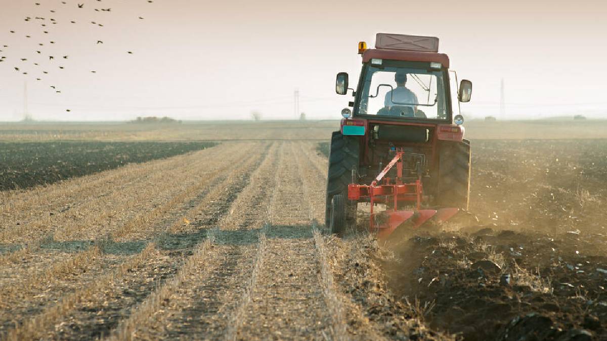 TÜİK: Tarımsal Girdi Fiyatları Yıllık Yüzde 30,28 Arttı