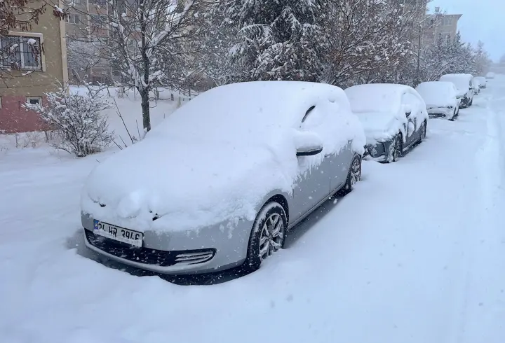 Van, Hakkari, Bitlis ve Muş'ta kar nedeniyle 1493 yerleşim yerinin yolu kapandı
