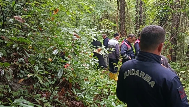 Sapanca'da Kestane Toplamak İçin Gittiği Ormanda Cansız Bedeni Bulundu