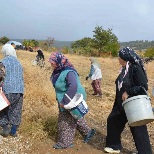 Her Sene 450 Ton Topluyorlar: Kozmetik Ve İlaç Devleri Satın Alıyor