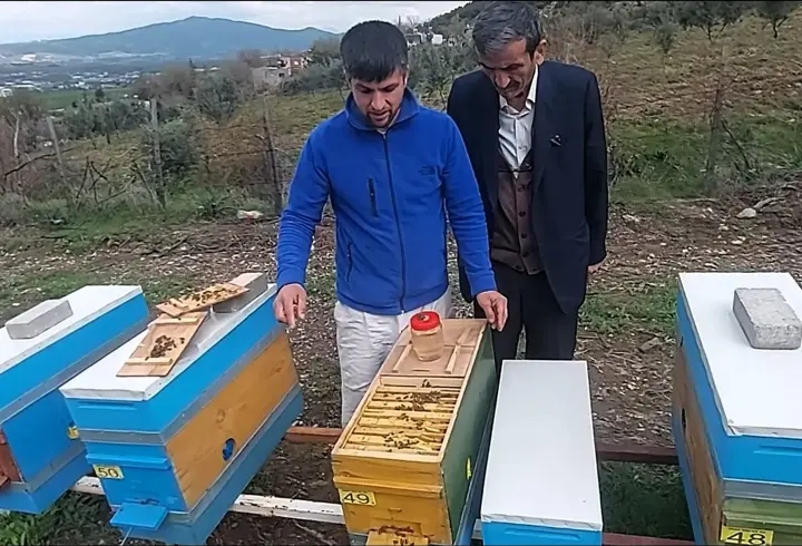 Osmaniye’de arıcılara, verimi artıracak ıslah edilmiş ana arılar dağıtılacak