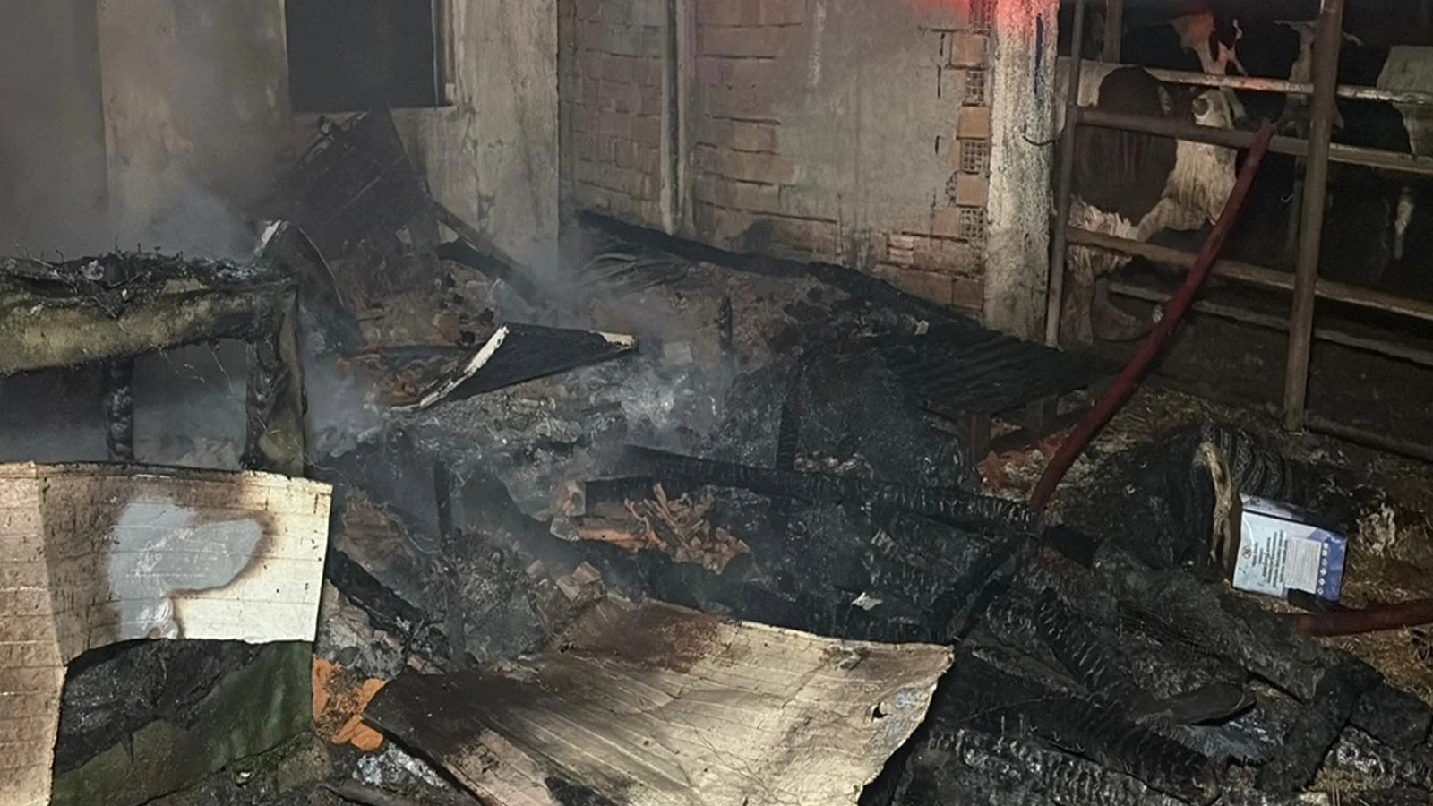 Tekirdağ'da çiftlik yangını: 60 küçükbaş öldü