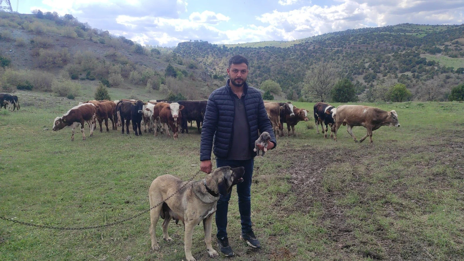 Sosyal medyada linç edilmişti, o köpeğin sahibi konuştu