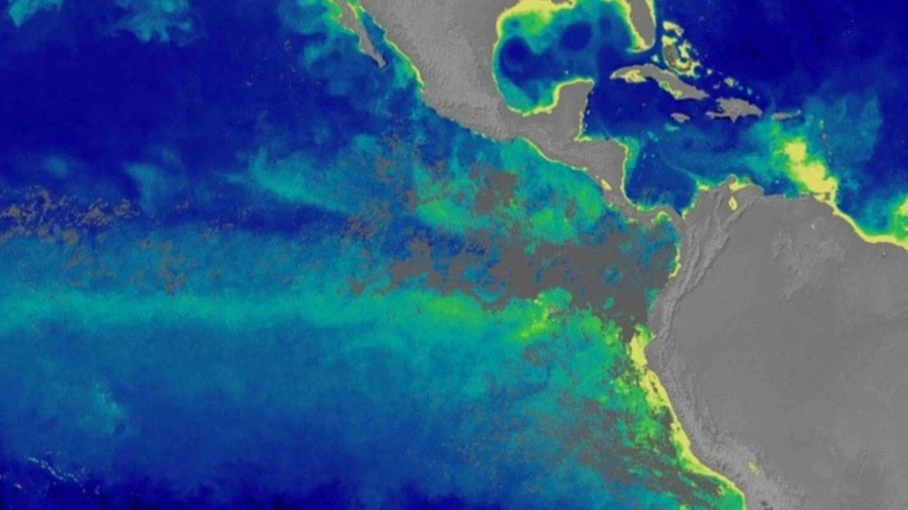 NASA Uydusu İklim Krizini Okyanusta Gözlemledi: Deniz Seviyesi 30 Santimetre Yükseldi