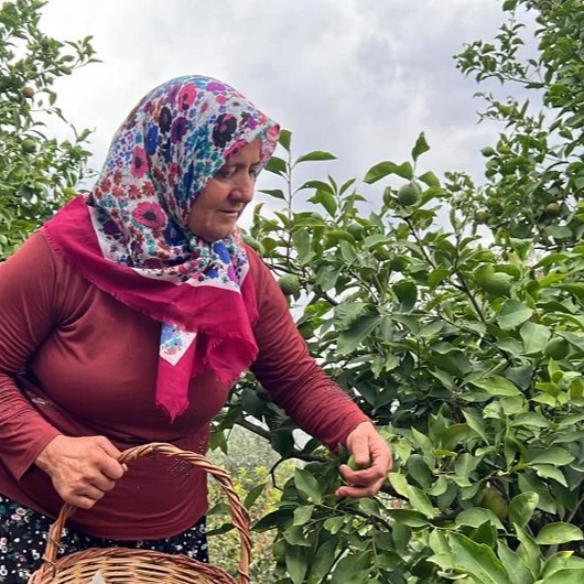 Sosyal Medyanın 'Naciye Abla'sından Büyük Başarı: 400 Bin Takipçiye Ulaştı, Yarışmada 1 Milyon 400 Bin TL Kazandı
