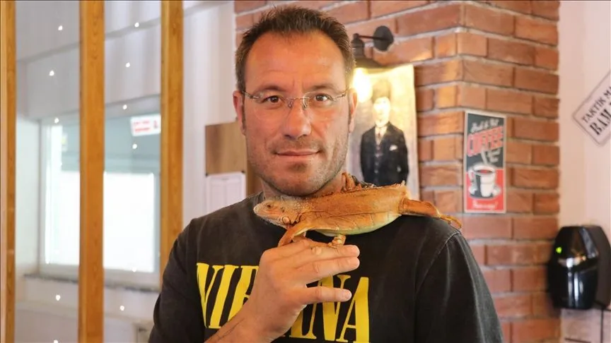 Omuzlarda gezen "Ökkeş" adlı iguana beldenin maskotu oldu