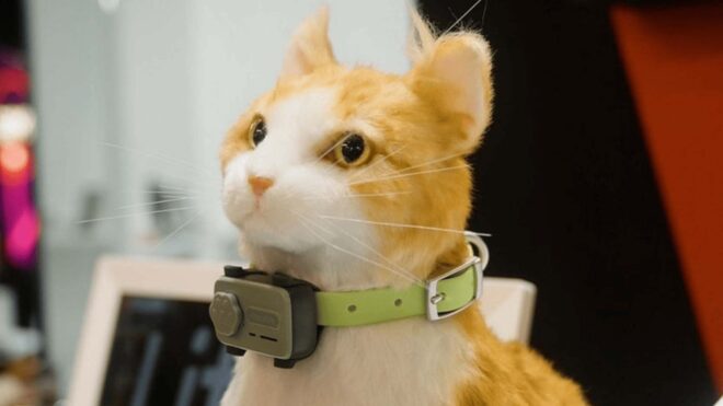 MWC 2026’da kedi ve köpeklere yönelik telefon modeli PetPhone da sergilendi [Video]