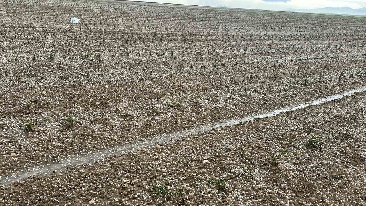 Aksaray'ı dolu afeti vurdu: 50 bin dekar arazi zarar gördü