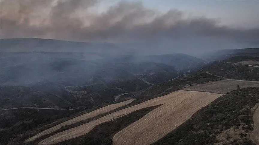 Çanakkale'nin Gelibolu ilçesindeki orman yangını kontrol altına alındı 