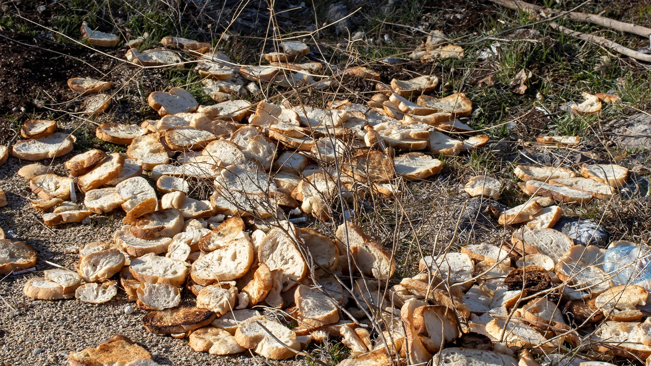 En çok israf eden üçüncü ülkeyiz, kişi başı 103 kilo gıda çöpte!