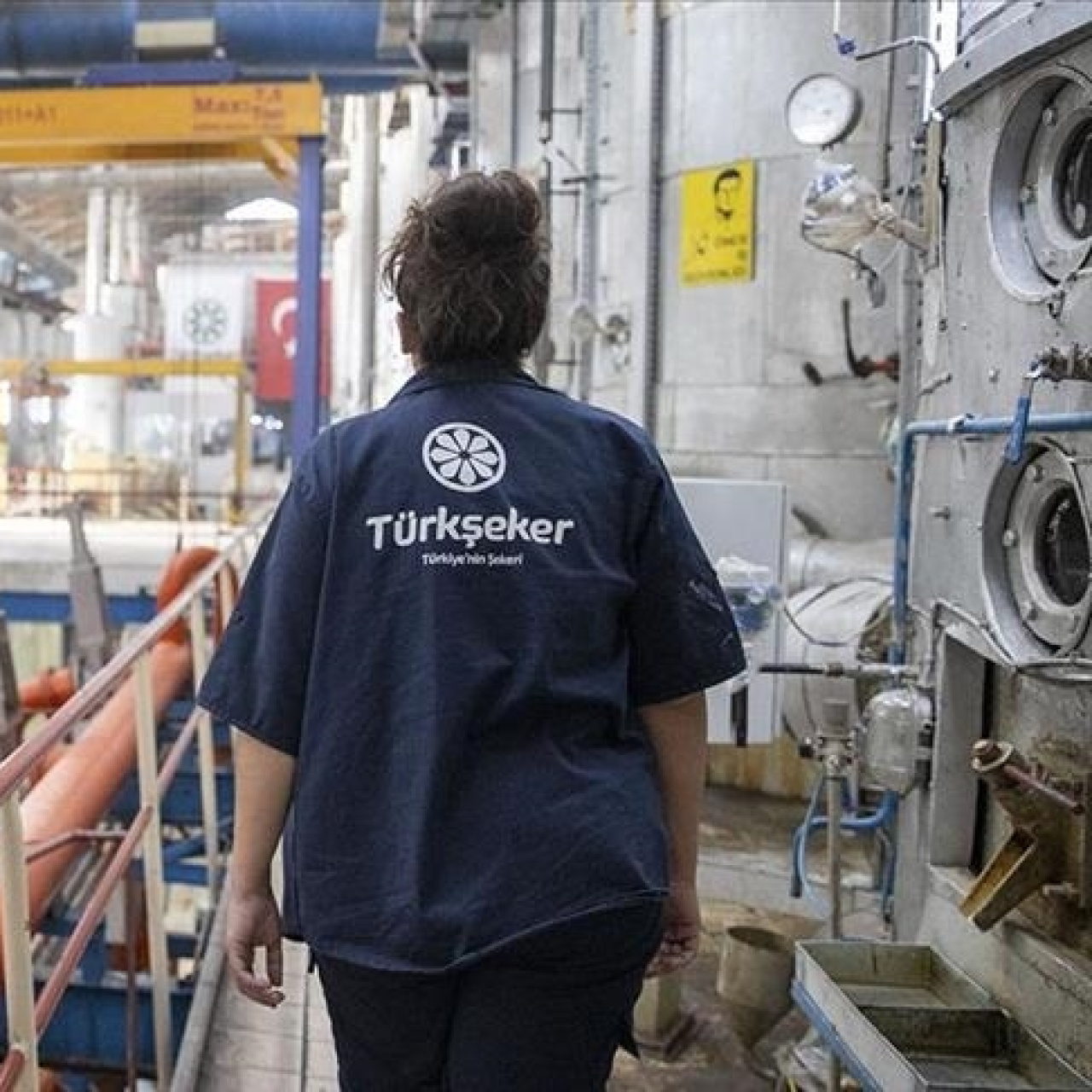 Türkşeker 525 geçici işçi alımı yapıyor!