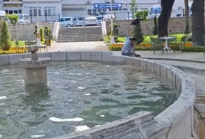 Tokat'ta Kargayı Kurtarmak İsteyen Adam Saldırıya Uğradı