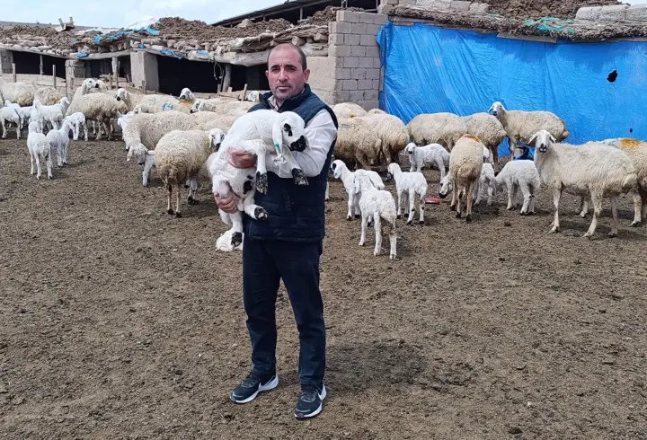 Kayseri'de 600 Küçükbaş Hayvanı Olan Besici, Çoban Bulamıyor