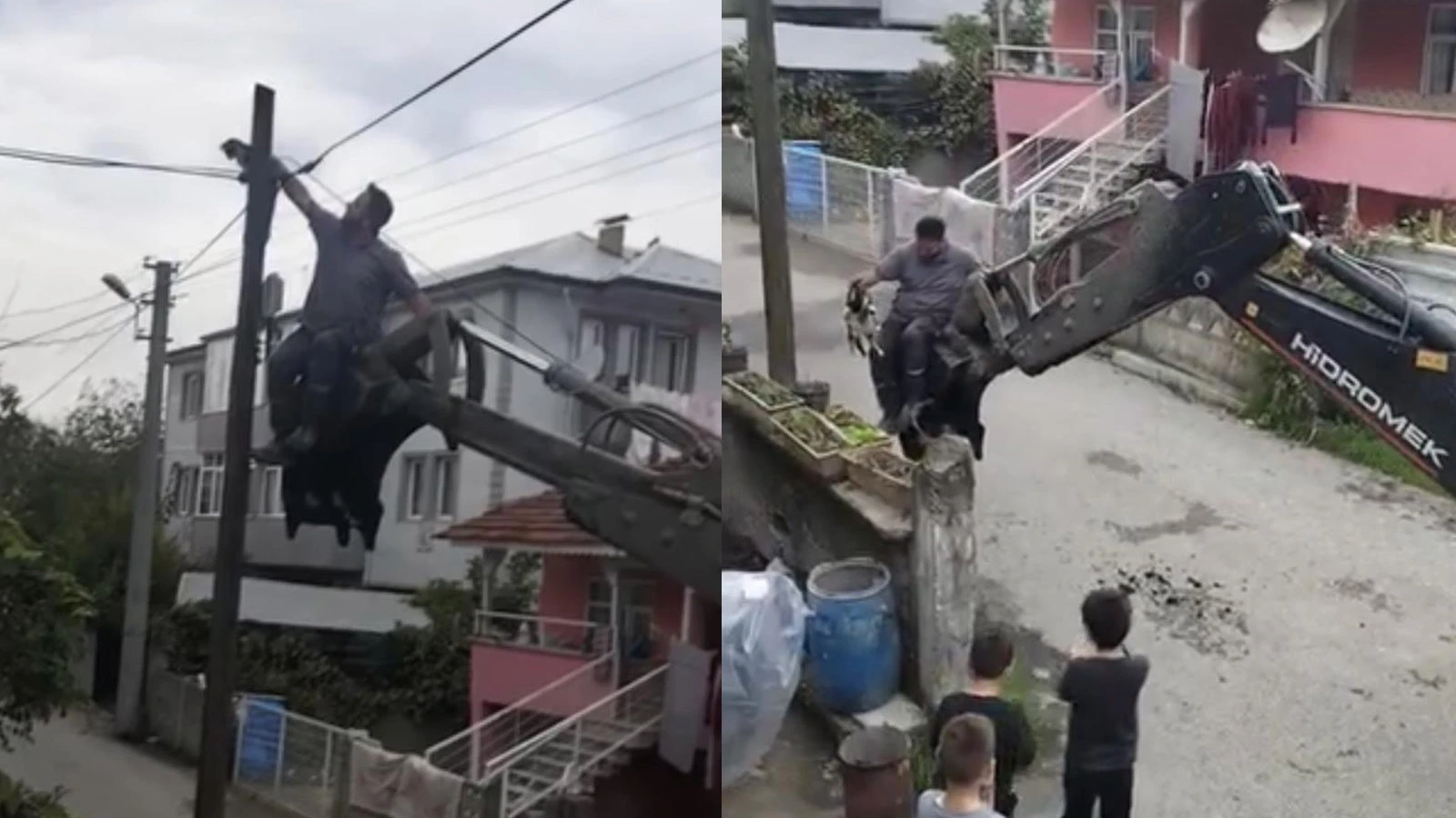 Düzce'de köpeklerden kaçan kedi, direkte mahsur kaldı