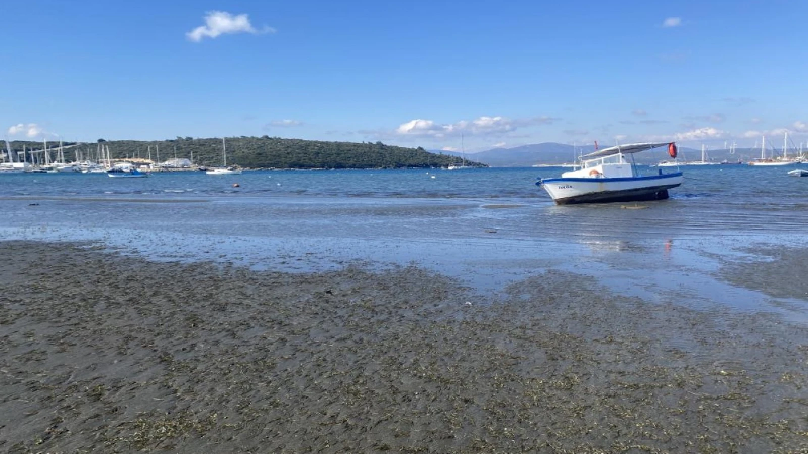 İzmir'de artık Çeşme'ye değil o ilçeye akın var! Yeni gözde