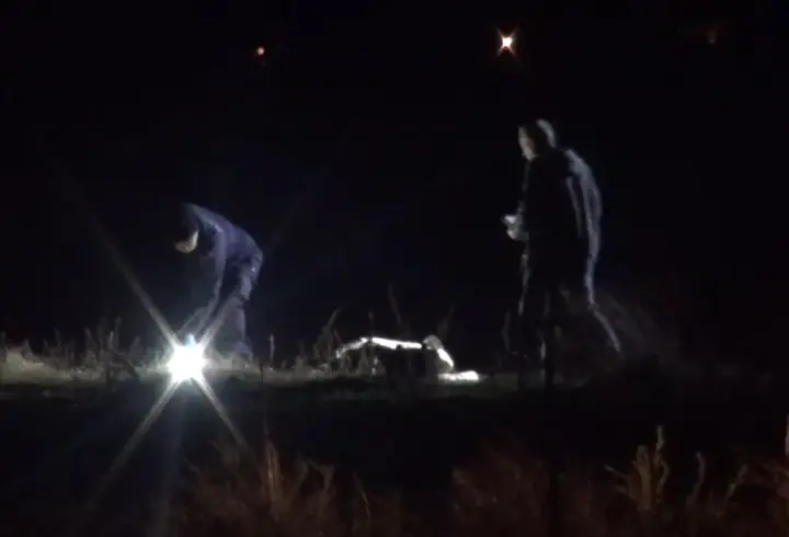 İstanbul- Silivri'de hayvanları otlatmaya çıkaran çoban arazide ölü bulundu