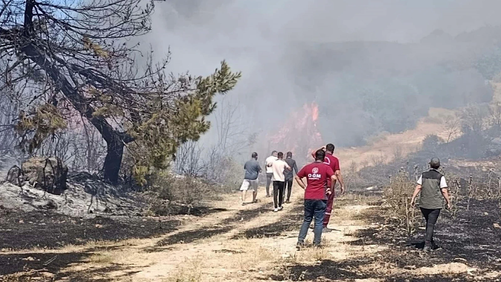 Piknikte semaver yakarken orman yangınına neden olan kadına ev hapsi