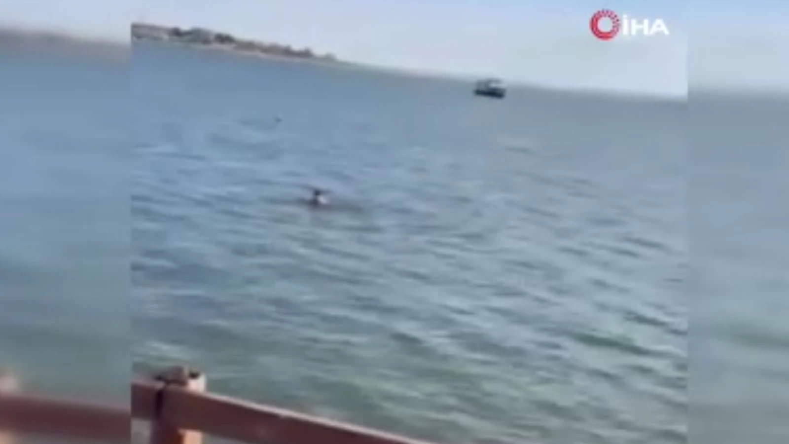 "Kurtuldum" diye bağırıp kendini Mogan Gölü'ne attı