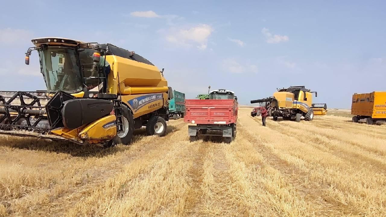 Çiftçilere 349 milyon liralık destekleme ödemesi bugün yapılacak