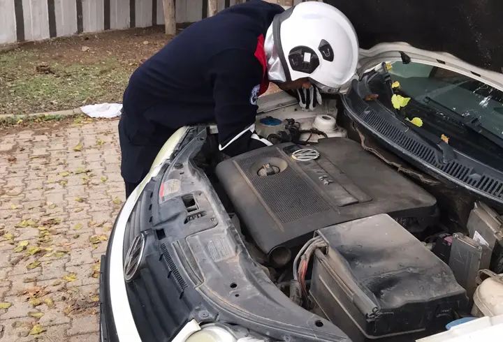 Otomobilin motoruna giren yavru kedi kurtarıldı