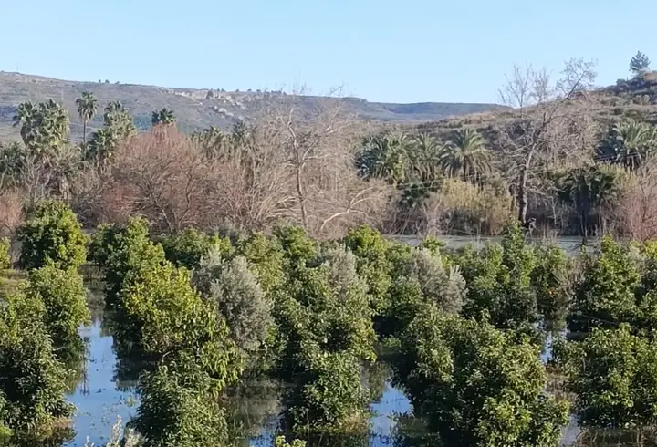 Irmak taştı, şantiye ile narenciye bahçelerini su bastı