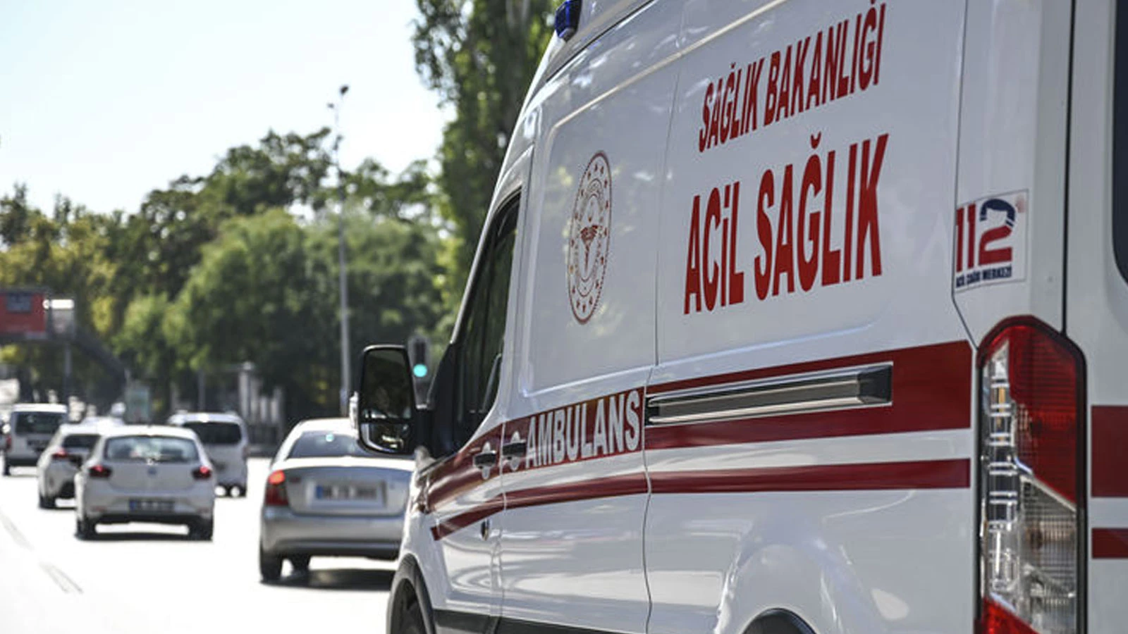 Şanlıurfa'da sahipsiz köpeklerin saldırısına uğrayan 2 kişi yaralandı