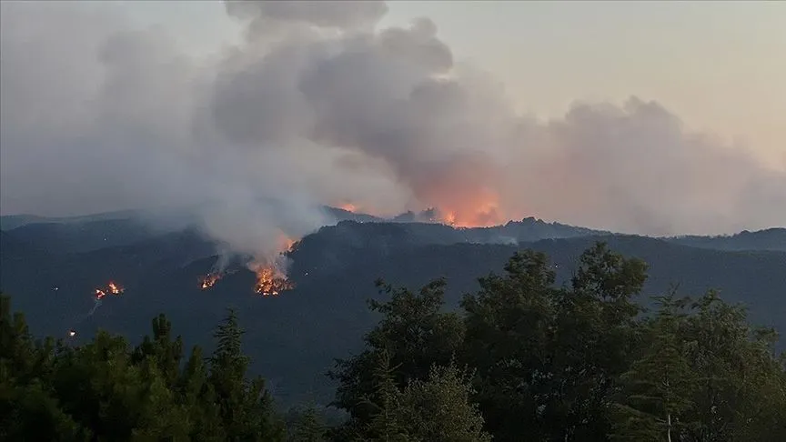 Eskişehir'de 10 kişinin şehit olduğu orman yangınıyla ilgili soruşturma başlatıldı