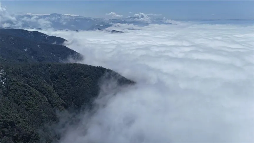 Ordu'da etkili olan sis hava ulaşımında aksamaya neden oluyor