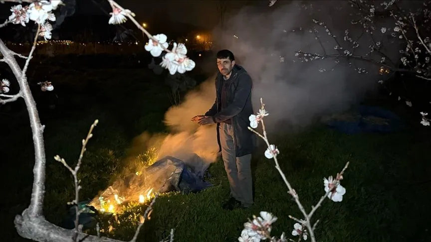 Erzincan'da üreticiler çiçek açan ağaçlar için gece ateş başında nöbette