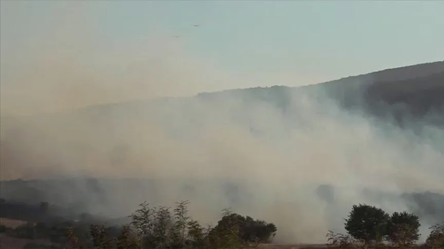 Balıkesir'in Susurluk ilçesinde çıkan orman yangınına müdahale ediliyor