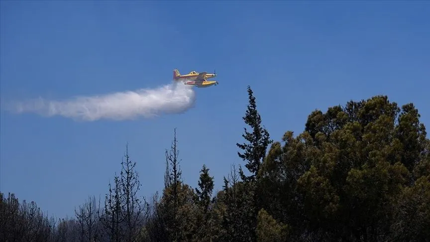 İzmir'in Aliağa ilçesinde çıkan orman yangını kontrol altında